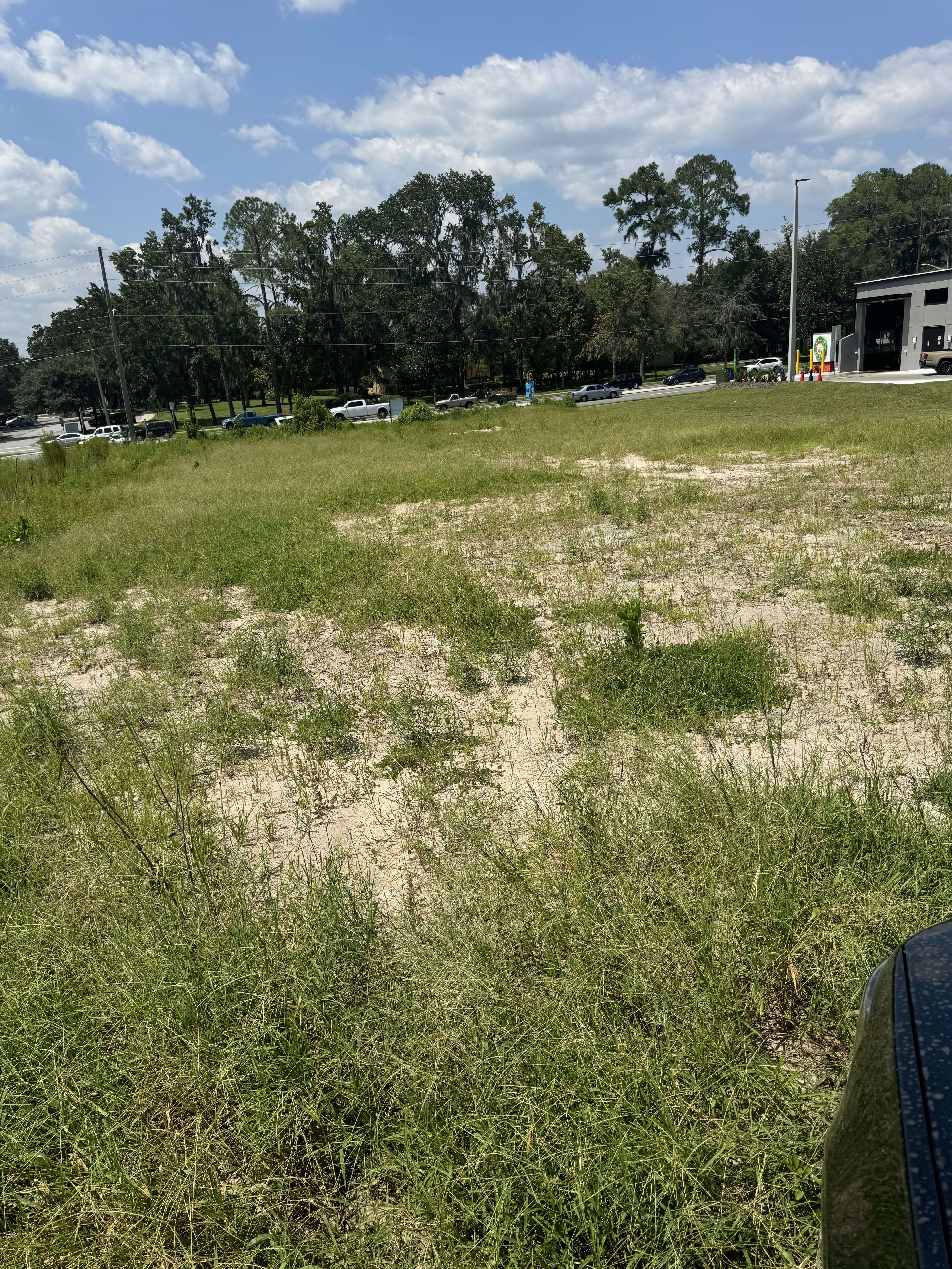 Dutch Brothers Gainesville - Land Clearing