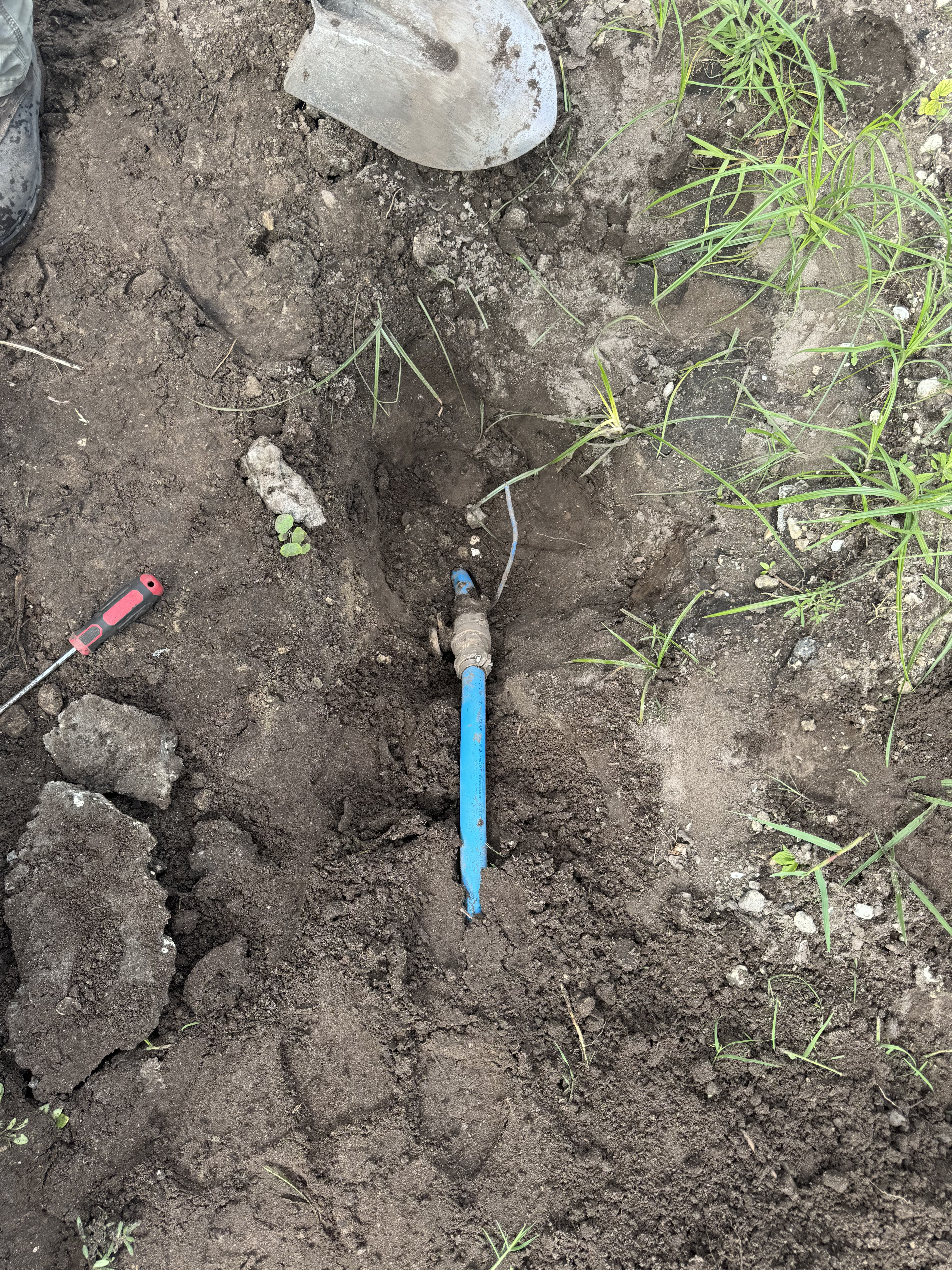 Dutch Brothers Coffee Shop project