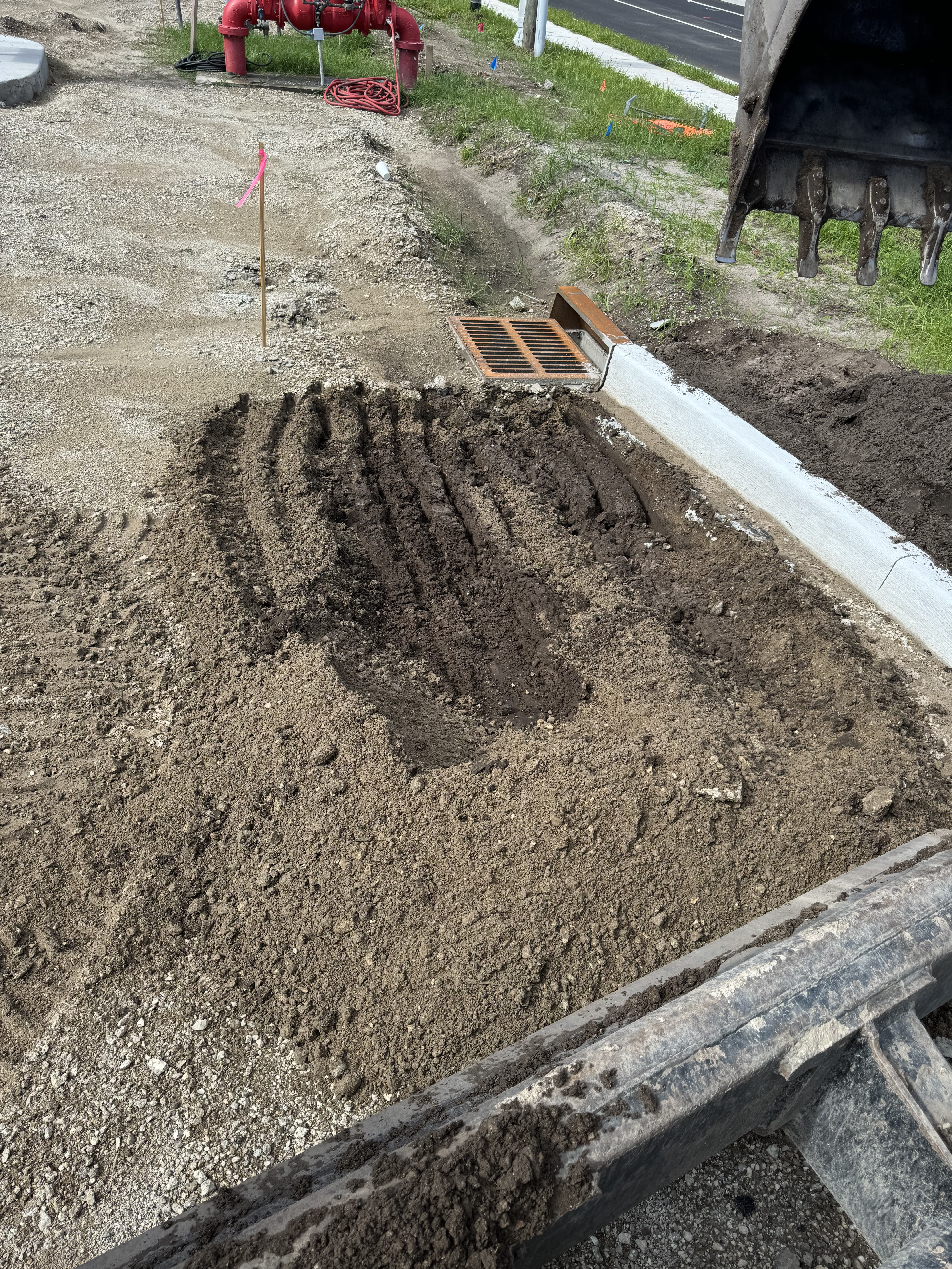 Dutch Brothers Goldenrod - Land Clearing