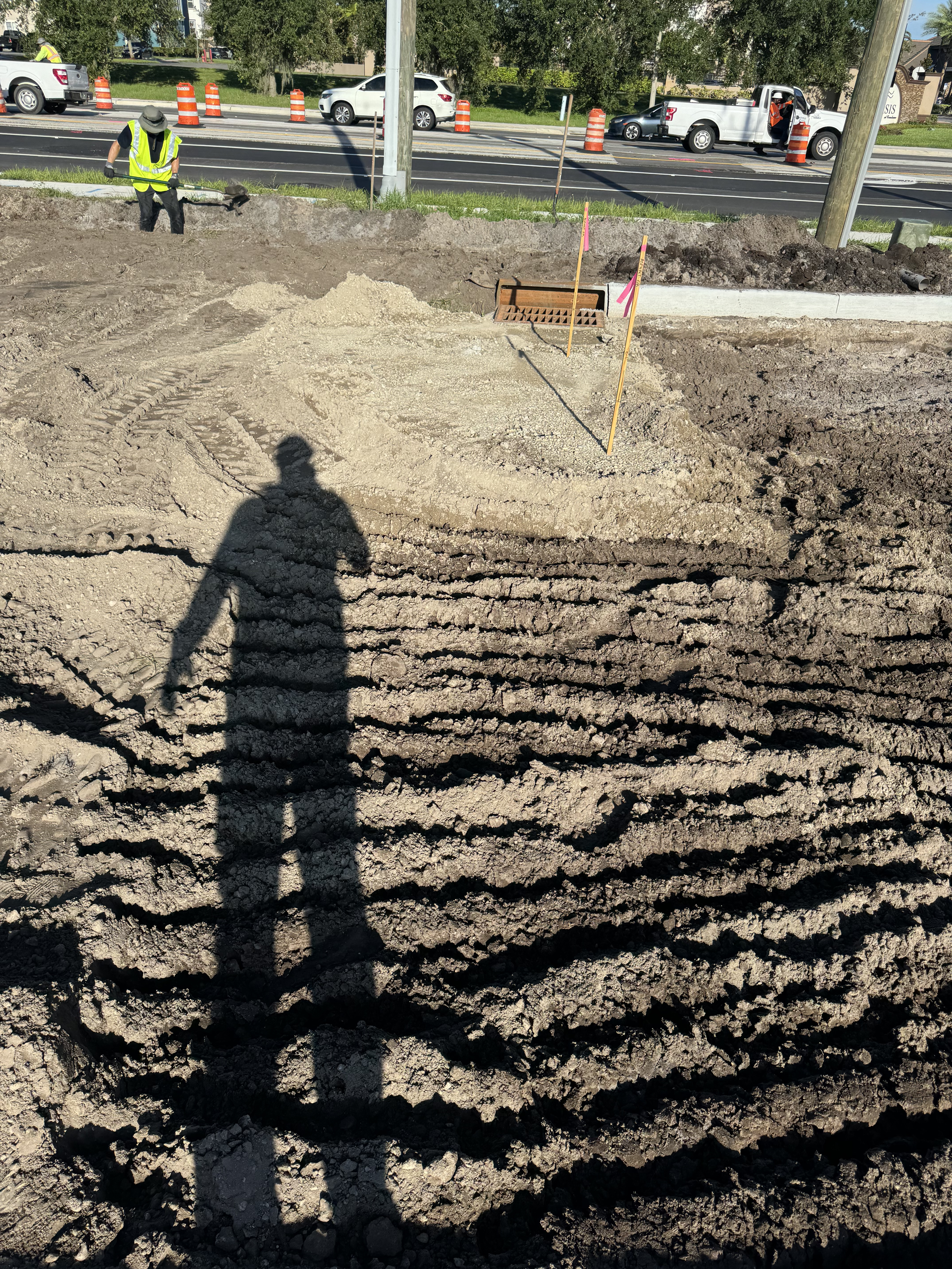 Dutch Brothers Goldenrod - Site Preparation