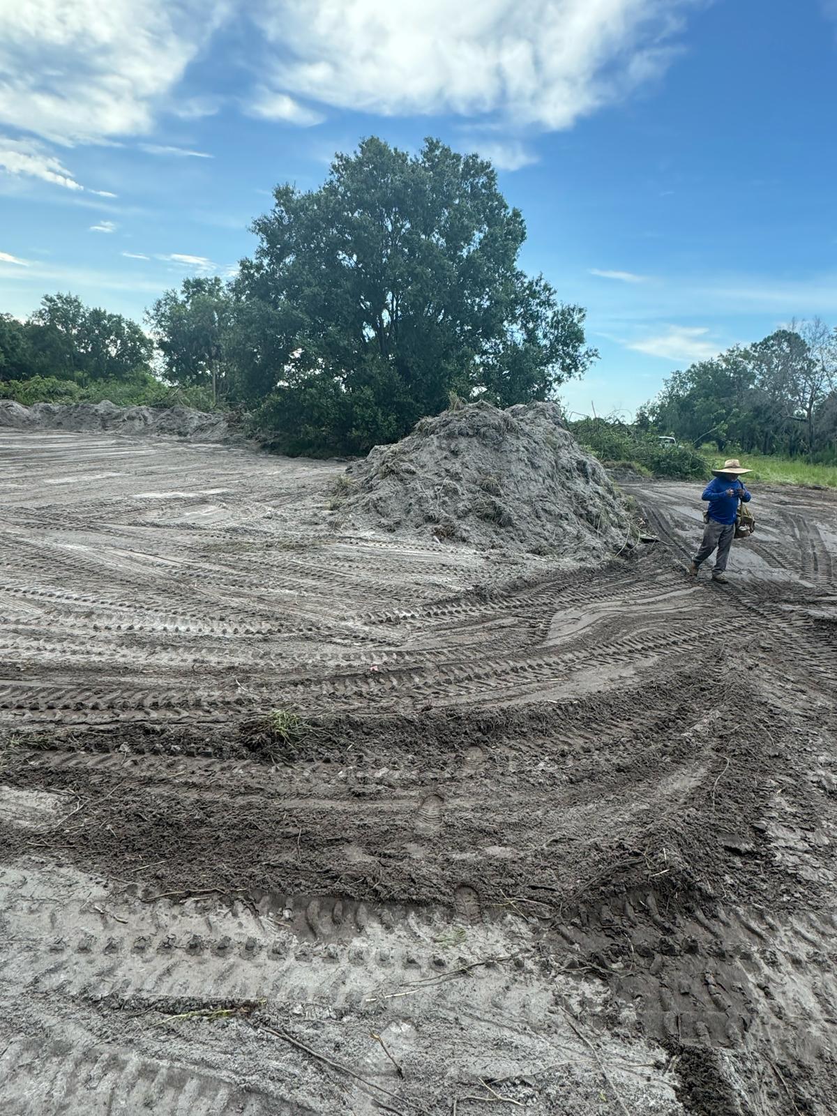 O'Reilly Fellsmere - Land Development Phase