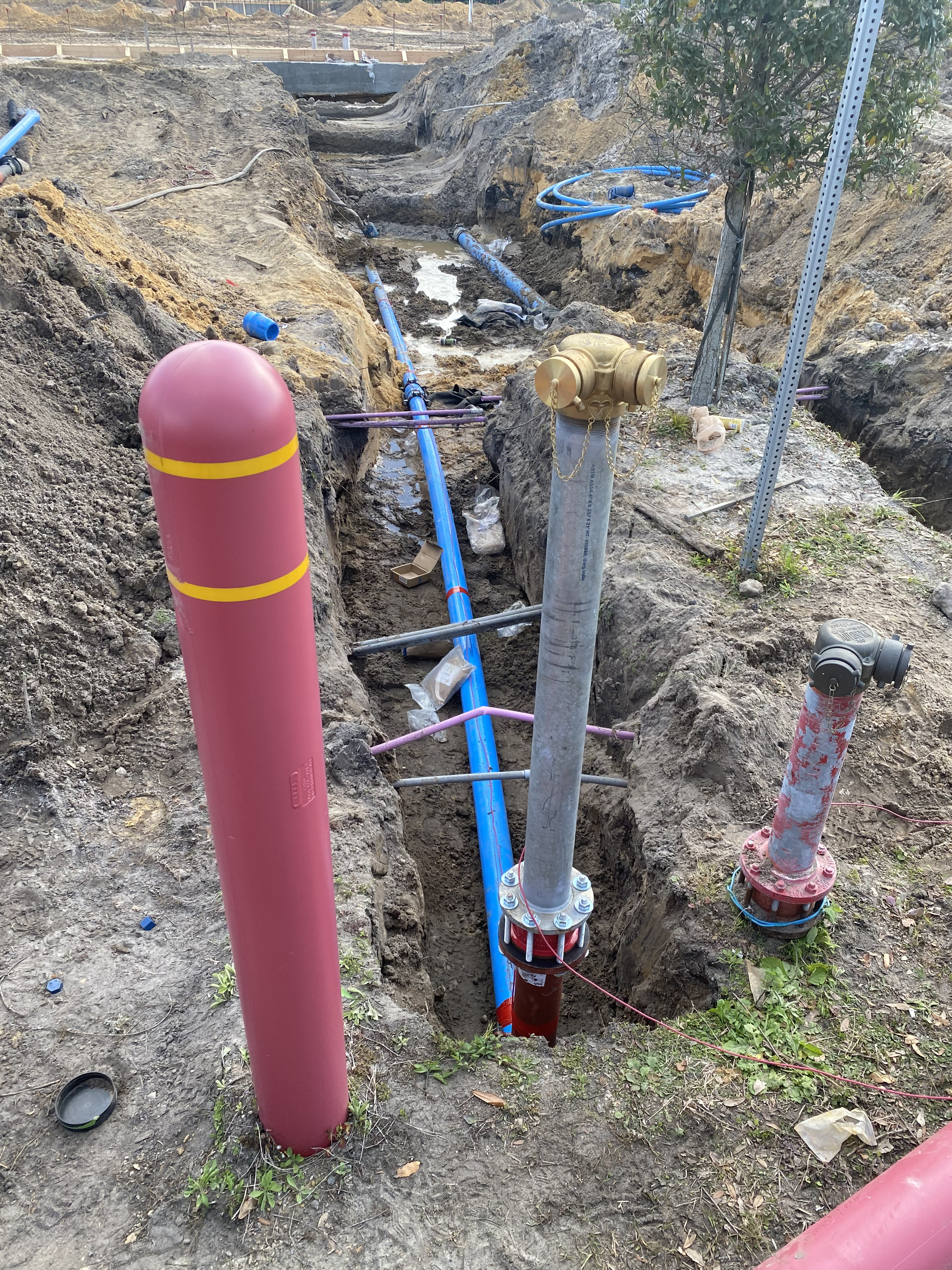 Windermere Collision Center - Site Preparation